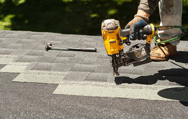 Best Roof Gutter Cleaning  in South Gull Lake, MI