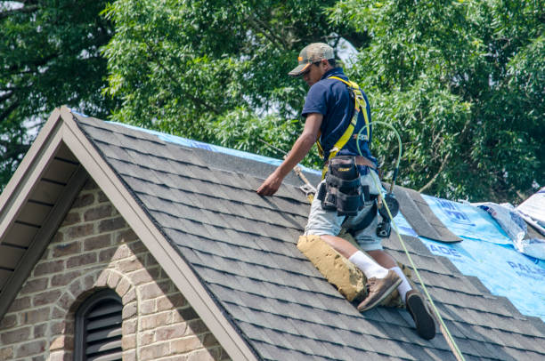 Best Affordable Roofing Company  in South Gull Lake, MI